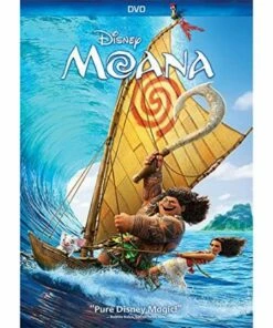 Moana Kids DVD ( 2017) - Kids Movie, Auli’i Cravalho