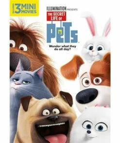 The Secret Life of Pets Kids DVD ( 2016) - Kids Movie, Louis C.K.